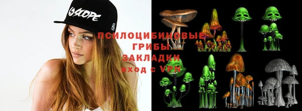 дмт Аркадак
