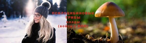 меф Армянск