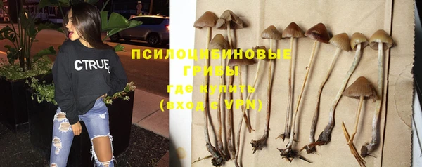 меф Армянск
