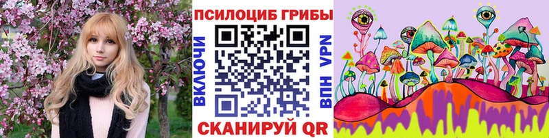 Галлюциногенные грибы GOLDEN TEACHER  Оса 