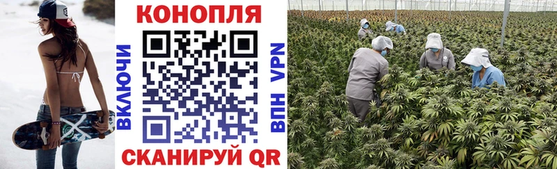 KRAKEN ссылки  Оса  Бошки Шишки LSD WEED 